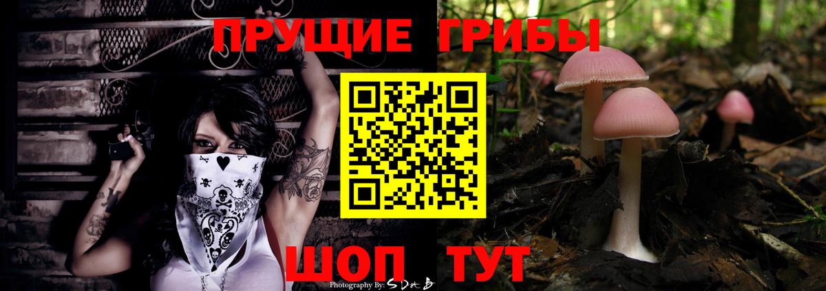 Лабытнанги  Галлюциногенные грибы прущие грибы  Вход с VPN 